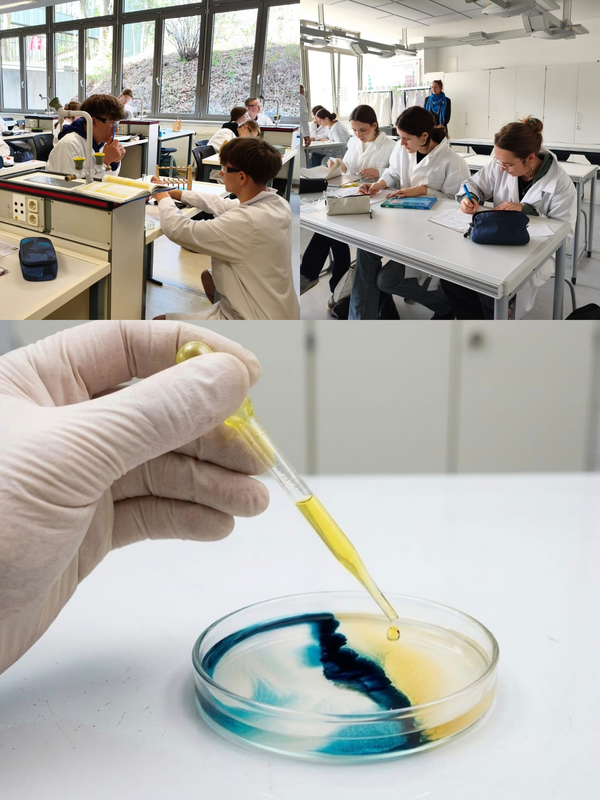 Bild vergr&ouml;&szlig;ern: Chemiewettbewerb