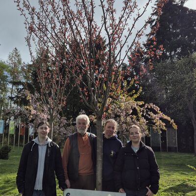 Bild vergr&ouml;&szlig;ern: Gruppenbild