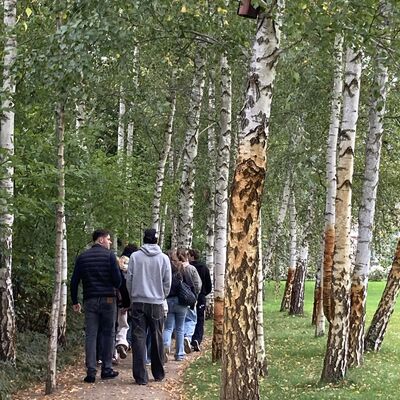 Bild vergr&ouml;&szlig;ern: Sch�lerinnen und Sch�ler laufen durch den Wald